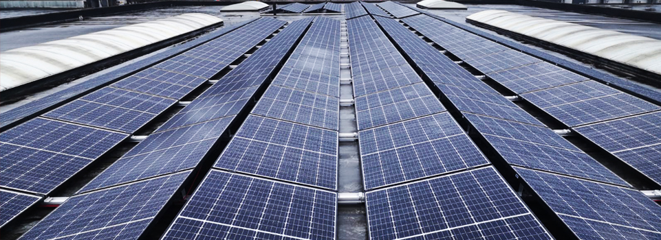 Zonnepanelen Nijhuis & Wigger